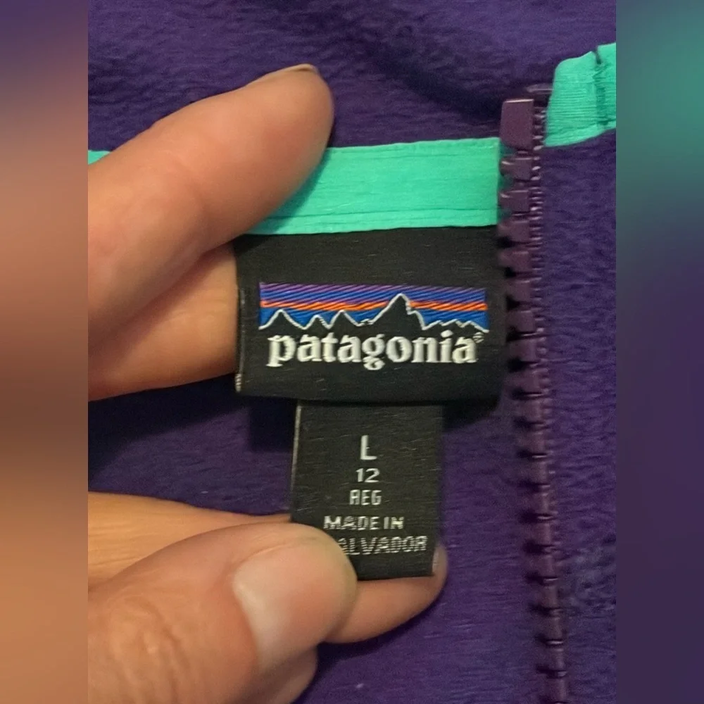 Patagonia fleece lightweight zip up hoodie jacket
